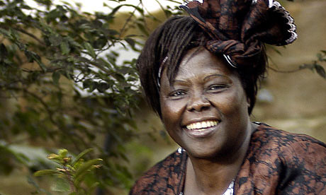 F&A Series: Wangari Maathai, the Bible, and Environmental Activism